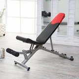 Bowflex SelectTech 4.1 Adjustable Bench