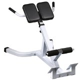 Yaheetech Extension Hyperextension Back Exercise AB Bench Gym Abdominal Roman Chair