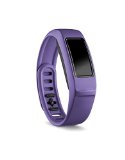 Authentic Garmin Brand Vivofit 2 Replacement Band (Violet, Small)