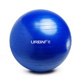 Exercise Ball (75 CM) for Stability & Yoga – Workout Guide Incuded – Professional Quality (Blue)