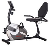 Merax® Pro Magnetic Recumbent Exercise Bike (Grey)