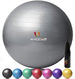 Wacces® Fitness Exercise and Stability Ball (Gray, 55 cm)