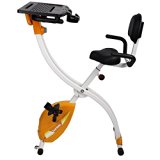 Loctek Foldable Exercise Desk Bike Office Cycling Work Station