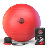 Fitness Exercise Ball 65cm with Pump – Best for Abs – Stability – Tone – Core – Yoga – Pilates – Made with Anti-Burst Material – BONUS workout Ebook Included Featuring 20 Core Crushing Exercises & Workouts