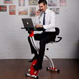 Loctek Foldable Upright Cycling Desk Exercise Bike with Laptop Table, Red