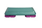 The Step F1053 Home Trainer