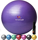 Wacces Anti-Burst Fitness Exercise Stability and Yoga Ball with Pump ( Purple – 75 CM )
