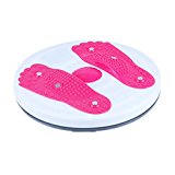 Tripolar Clearance Sale Twist Waist Torsion Disc Magnet Exercise Fitness Massage