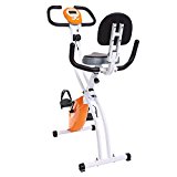 Ancheer Indoor Magnetic Folding Exercise Bike with Backrest Orange
