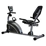 Exerpeutic 900XL Extended Capacity Recumbent Bike with Pulse