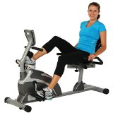 Exerpeutic 900XL Extended Capacity Recumbent Bike with Equipment Mat