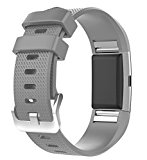 HWHMH Adjustable Replacement Sport Strap Band for Fitbit Charge 2 Fitness Watch, Classic, 12 Colors (1PC Grey, Wrist 5.5″- 8.1″)