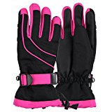 Women’s Thinsulate Lined Waterproof Ski Glove (Black/Hot Pink, Medium/Large)