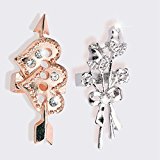 Huishang Flex 2 Jewelry Accessory Band Cover Sleeve Protector for Fitbit Flex 2 / Fitbit flex2 (2 pack)