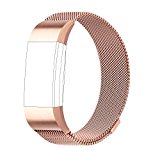 For Fitbit Charge 2 Bands, Milanese Loop Stainless Steel Bracelet Smart Watch Strap with Unique Magnet Lock for Fitbit Charge 2 Replacement Wristbands Large Small