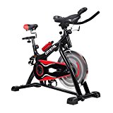 Crystal Ultra-silence Indoor Upright Cycling Bike with LCD Monitor Exercise Bike for Health and Fitness-Black&Red