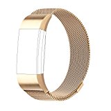 For Fitbit Charge 2 Bands, Milanese Loop Stainless Steel Bracelet Smart Watch Strap with Unique Magnet Lock for Fitbit Charge 2 Replacement Wristbands Large Small