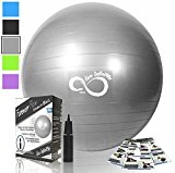 Exercise Ball -Professional Grade Exercise Equipment Anti Burst Tested with Hand Pump- Supports 2200lbs- Includes Workout Guide Access- 55cm/65cm/75cm/85cm Balance Balls (Silver, 65 cm)