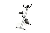 ProForm X-Bike