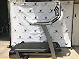 FreeMotion Commercial Incline Trainer with Workout TV Console