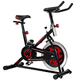 Merax Pro Fitness indoor Cycling Trainer Exercise Bike -30 lbs Flywheel (Grey)