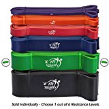 Fit Simplify Pull Up Assist Band – For Mobility, Stretching, Powerlifting – Premium Ultra Durable Pull up Bands (Single band) + Bonus eBook and Online Videos