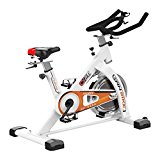 Water-chestnut Exercise Bike Indoor Cycle Bike, Indoor Bike Trainer (White)