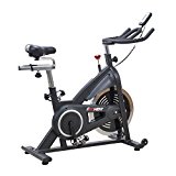 Indoor Cycle Bike, Belt Drive Cycling Trainer Exercise Bike w/ 40 lb Flywheel and LCD Monitor by EFITMENT – IC014
