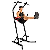 Docheer Heavy Duty 500 lbs Power Tower with Dip Station, Pull Up Bar Standing Tower Gym Equipment Sports Pull Up Tower-Black