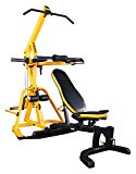 Powertec Fitness Workbench Lever Gym, Yellow