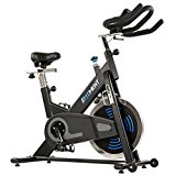 Indoor Cycle Bike, Magnetic Cycling Trainer Exercise Bike w/ 40 lb Flywheel, Belt Drive and LCD Monitor by EFITMENT – IC031