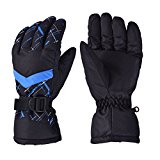Winter Snow Ski Gloves, HUO ZAO Windproof Breathable Protection Mittens Warm Gloves for Outdoor Cycling Snowboard Hiking Mountain Climbing, Black Blue (AG-04)