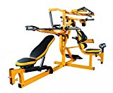 Powertec Fitness Workbench Multi System, Yellow