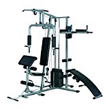 Soozier Multi-Exercise Home Fitness Station Gym Machine w/ 100 lb Stack