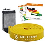 5BILLION Assist Resistance Bands – Yellow – Pull Up Bands for Fitness, Mobility, Strength, Power