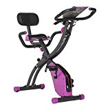 Flex Bike Ultra (Purple)