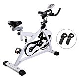 ZELUS Upgraded Stationary Exercise Bike Indoor Cycling Trainer for Cardio Exercise Gym Workout, Ultra-quiet Shock-Absorbing Flywheels with CVT & LCD Monitor (White)