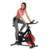 Pro Indoor Cycling Bike Exercise Bike Stationary Trainer (Black)