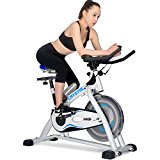 URSTAR Ultra-silence Exercise Bike with LCD Monitor and Water Bottle for Health and Fitness (Blue White)