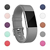 For Fitbit Charge 2 Bands, Adjustable Replacement Bands with Metal Clasp for Fitbit Charge 2 Wristbands Classic Edition Grey Small