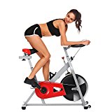Pro Indoor Cycling Bike Exercise Bike Stationary Trainer (Sliver)