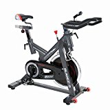 Bladez by BH Home Workout Indoor Cycle Stationary Cardio Recumbent Exercise Bike