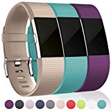 Bands for Fitbit Charge 2, Champagne Teal Plum, Large