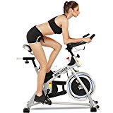 Spinning Bike Spin Pro Indoor Cycling Bike with Pulse for Health and Fitness (silver)