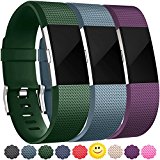Wepro Replacement Bands for Fitbit Charge 2, 3-Pack Fitbit Charge2 Wristbands, Small, Plum, Slate Blue, Tarmac