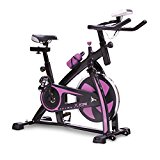 V-FIRE Indoor Cycling Workout Bike for Cardio and Fitness