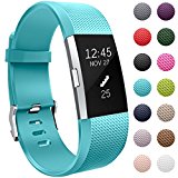 GEAK Fitbit Charge 2 Replacement Bands,Large,Teal