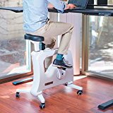 Flexispot Under Desk Bike Only Fully Assembly Portable Adjustable Resistance Leg Pedal Exerciser – Low Impact Desk Cycle – Fitness Equipment (Under White)