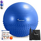 Sportneer Excercise Ball Anti-burst Dual-sided Balance Yoga Ball with Pump, Massage Ball, Workout Guide and Carrying Bag, Blue, 65cm