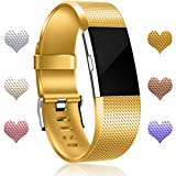 Wepro For Fitbit Charge 2 Bands, Replacement Accessories Bracelet Strap with Newest Colors for Fitbit Charge 2 HR, Gold, Large
